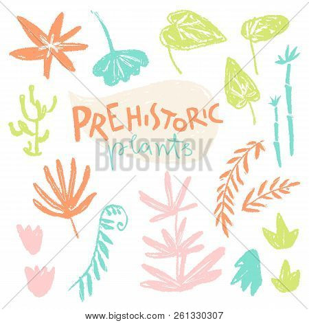 Vector Collection Of Hand Drawn Textured Prehistoric Plants. Nai