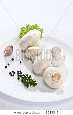 버섯