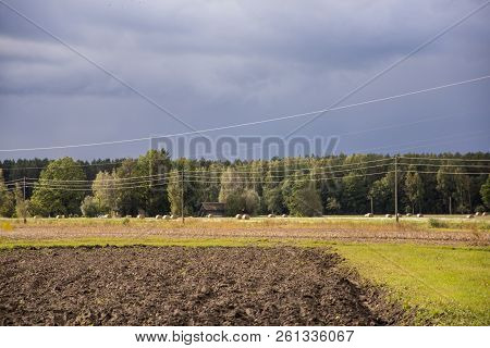 Dark Blue Sky On Autumn Day. Field Panorama