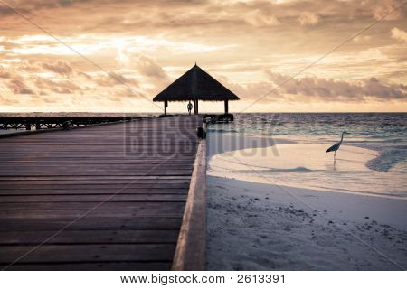Tropical Beach
