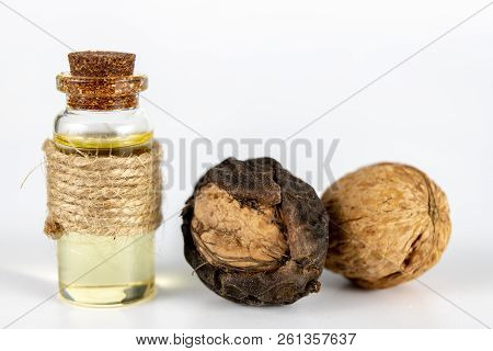 Oil In A Bottle And Walnuts On A White Kitchen Table. Spices And Ingredients Useful In Kuchi.