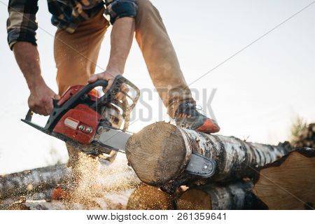 Professional Lumberman Sawing Trees On Sawmill. Close-up View On Chainsaw In Hands
