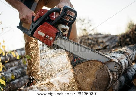 Professional Lumberman Sawing Trees On Sawmill. Close-up View On Chainsaw In Hands