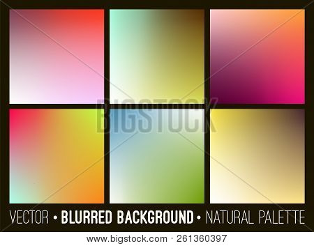 Set Of Abstract Soft Blurry Background. Flower Palette. Smooth Colorful Banner Template Collection.