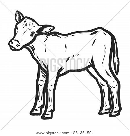 Veal Icon. Hand Drawn Illustration Of Veal Icon For Web Design