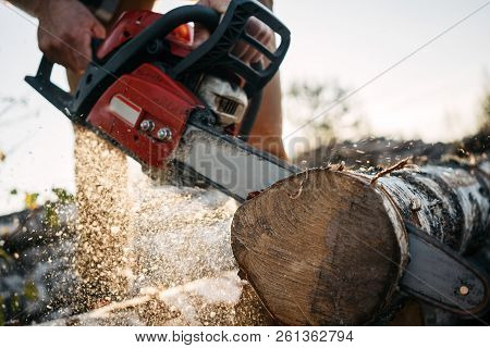 Closeup View On Chainsaw In Strong Lumberman Hands. Sawdust Fly Apart