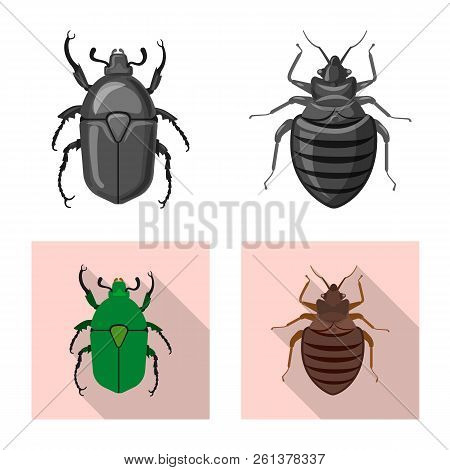 Vector Design Of Insect And Fly Sign. Set Of Insect And Element Vector Icon For Stock.