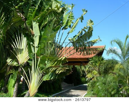 Cuba_Resort_