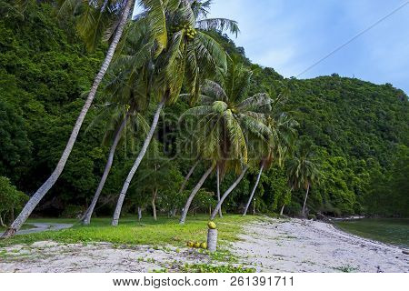 Beach Bang Boet And Coconut At Chumphon Province Thailand Is Famous For Travel