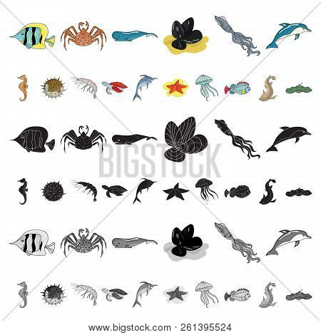 A Variety Of Marine Animals Cartoon Icons In Set Collection For Design. Fish And Shellfish Vector Sy