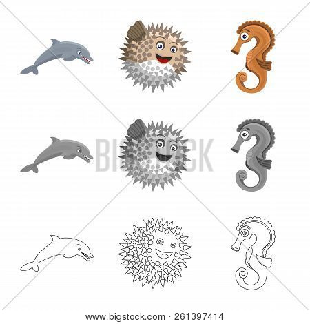 Isolated Object Of Sea And Animal Sign. Set Of Sea And Marine Stock Vector Illustration.