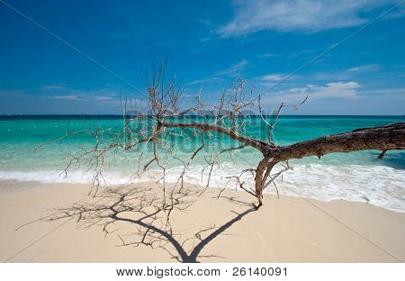 Thai havet: White Sand Beach og blå himmel