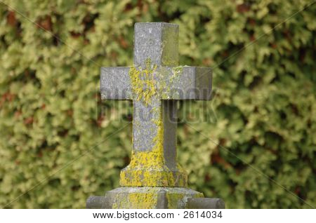 Moss Covered Cross