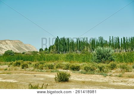 Naryn River Valley