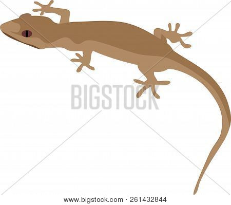 Brown Gecko Reptile Animal Vector Illustration Image