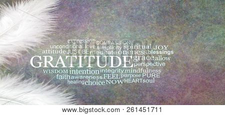 Angelic Gratitude Word Cloud Rustic Banner  - Two White Feathers With A Gratitude Word Cloud Between