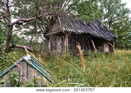 old wooden house in the forest