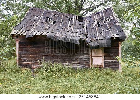 old wooden house in the forest