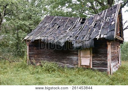 old wooden house in the forest