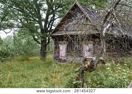 old wooden house in the forest