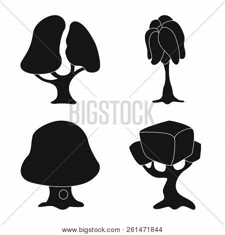 Vector Illustration Of Tree And Nature Icon. Set Of Tree And Crown Vector Icon For Stock.