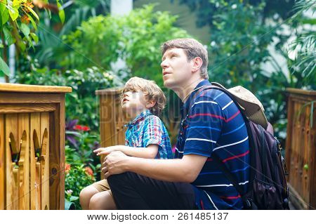 Father And Preschool Kid Boy Discovering Flowers, Plants And Butterflies At Botanic Garden. Family, 