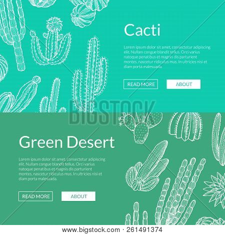 Vector Banner And Poster Hand Drawn Greeen Wild Cacti Plants Web Banner Templates Illustration