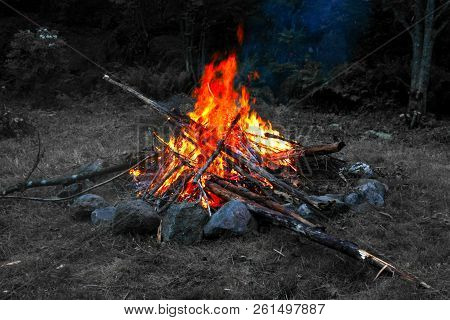 Saturated Bonfire Burning, Black And White Background.