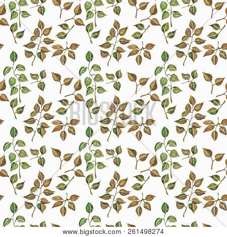 Seamless Floral Pattern With Watercolor Branches With Leaves, Hand Drawn Isolated On A White Backgro