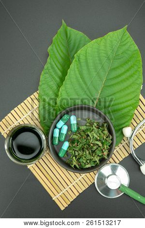 Mitragynina Speciosa Or Kratom