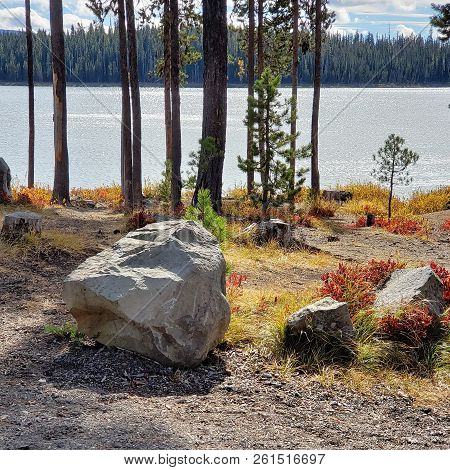 Foliage In Vibrant Fall Colors Of Red And Yellow Along The Shores Of Elk Lake In The Cacade Mountain