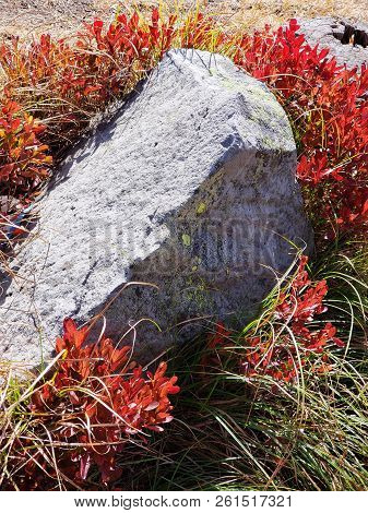 Foliage In Vibrant Fall Colors Of Red And Yellow Along The Shores Of Elk Lake In The Cacade Mountain