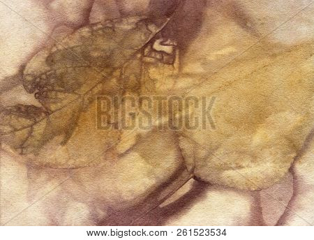 Botanical Print With Leaf Prints On Natural Silk. Hand-drawn Illustration.18