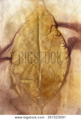 Botanical Print With Leaf Prints On Natural Silk. Hand-drawn Illustration.17