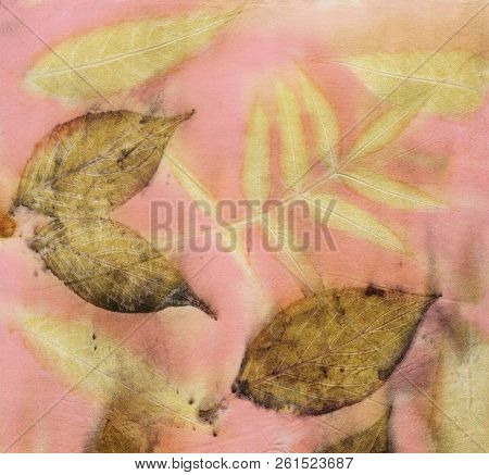 Botanical Print With Leaf Prints On Natural Silk. Hand-drawn Illustration.14