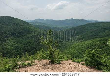 Landscape With Hills In Radan Mountain Massif, Near Rock Formation Djavolja Varos (devil's Town) In 
