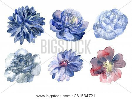 Watercolor hand drawn flower buds set, aquarelle botanical elements for wedding card cover. Plants collection of daliha and peony