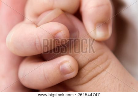 Gentle Fingers Of The Hand Of A Newborn Holding Finger Mom. The Tenderness Of Motherhood Is In The D