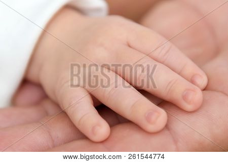 The Gentle Hand Of The Newborn Is Close. The Tenderness Of Motherhood Is In The Details. Procreation