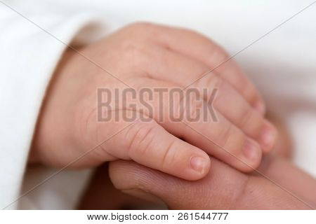 Gentle Hand Of The Newborn Is Close. The Tenderness Of Motherhood Is In The Details. Procreation In 