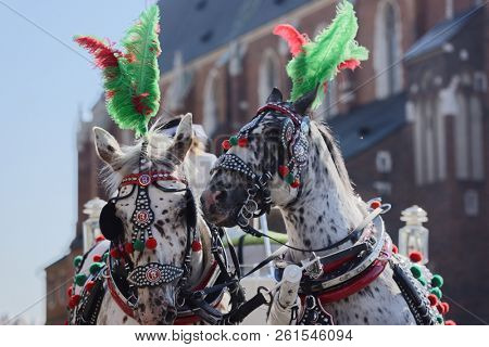 KRAKOW, POLAND - SEPTEMBER 20, 2018: Horses harnessed to a carriage against Saint Mary's Church in Krakow. The city's historic area has been turned into a pedestrian zone with horse-drawn transport