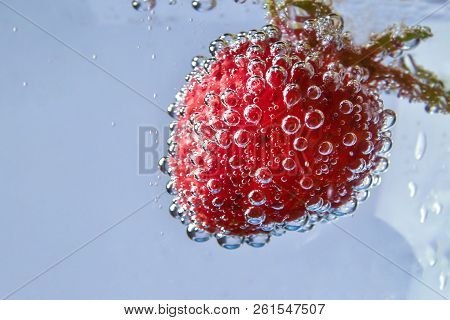 Falling Strawberies In Water. Strawberry Underwater. Red Sweet Fresh Fruit Splashing Into Water