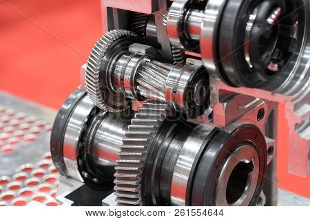 Cross Section Of Worm Gear Pump ; Selective Focus