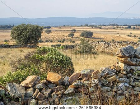 Barren Dry Land After A Long Hot Summer - Santa Catalina De Somoza, Castile And Leon, Spain