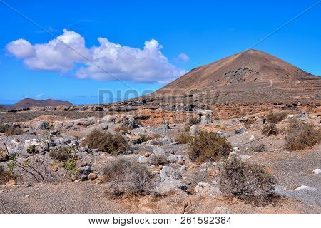 Spanish View Landscape In Lanzarote Tropical Volcanic Canary Islands Spain