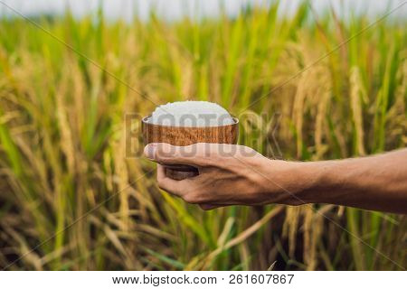 The Hand Holds A Cup Of Boiled Rice In A Wooden Cup, Against The Background Of A Ripe Rice Field