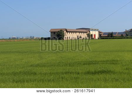 Countryside Along The Road From Lignana To Ronsecco, Near Vercelli, Piedmont, Italy, At Summer