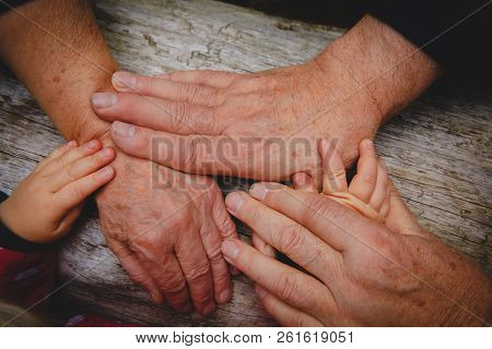 Grandparents And Kids Hands, Concept Of Family