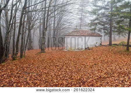 Small Church In The Woods In Autun Time, Italy