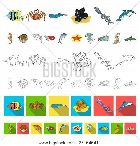 A Variety Of Marine Animals Cartoon Icons In Set Collection For Design. Fish And Shellfish Vector Sy